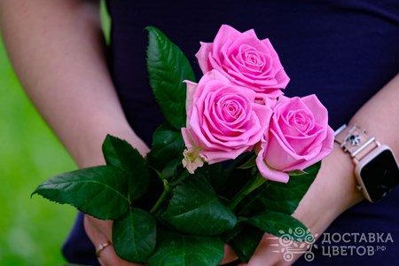 Букет из 3 розовых роз "Аква"